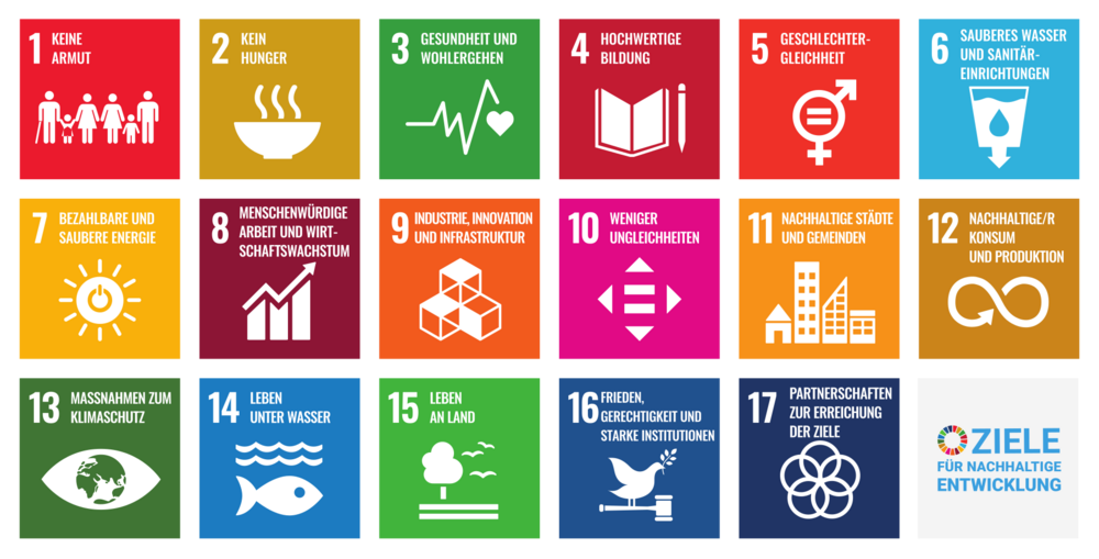 Ziele der Nachhaltigen Entwicklung - Überblick