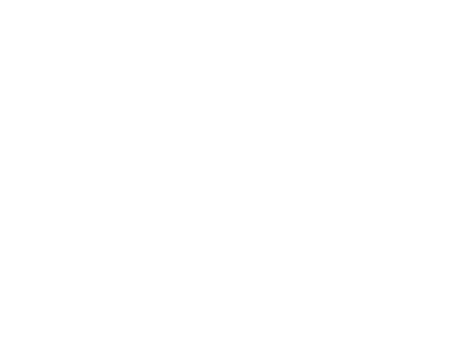 Hochzeiger Haus