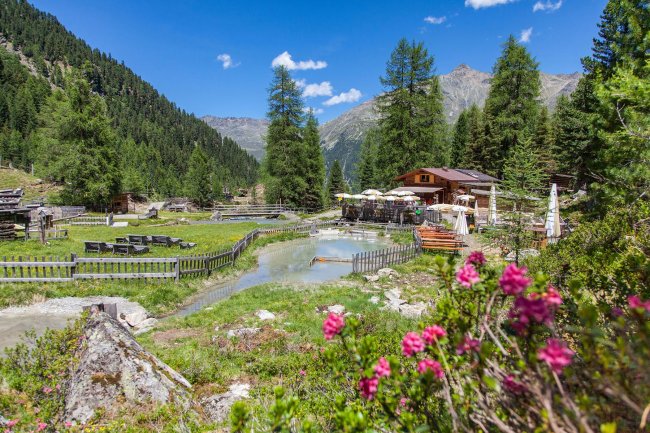 Alm Landschaft TIrol