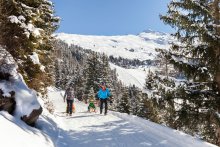 Schlittenfahren im Pitztal Schlittenfahren im Pitztal